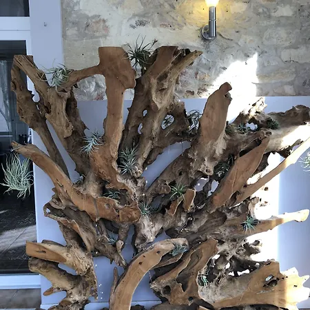 Hotel Le Lys D'or Vauvert