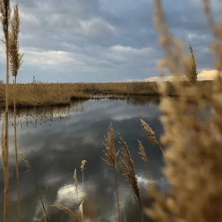 Le Lys D'or Hotel 2*