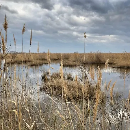 Hotel Le Lys D'or Vauvert