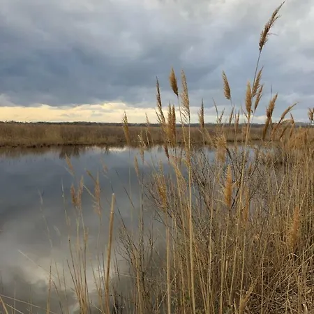 Le Lys D'or Hotel Vauvert